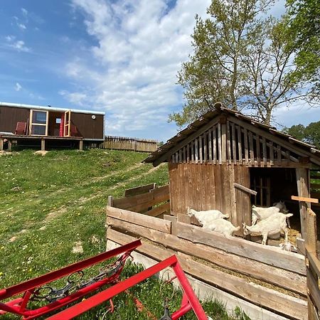 Maringotka Na Samote Na Kozi Farme Hotel Poběžovice Kültér fotó