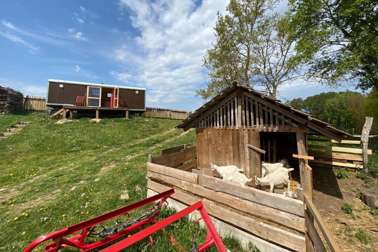Maringotka Na Samote Na Kozi Farme Hotel Poběžovice Kültér fotó